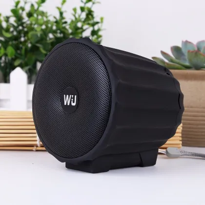 Rechargeable Wireless Bluetooth Speaker FM Radio/TF Card Speaker