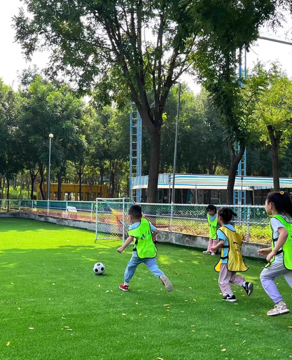 O1CN01xp6tSo29mR4CMIVQ1_!!0-rate