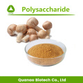 Agaricus Blazei Murill Pilzextrakt Polysaccharide 50%