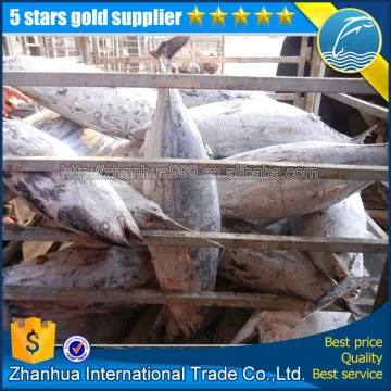 import export seafood fish skipjack tuna export skipjack tuna price