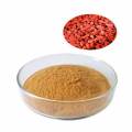 Goji Berry Wolfberry Extract Powder