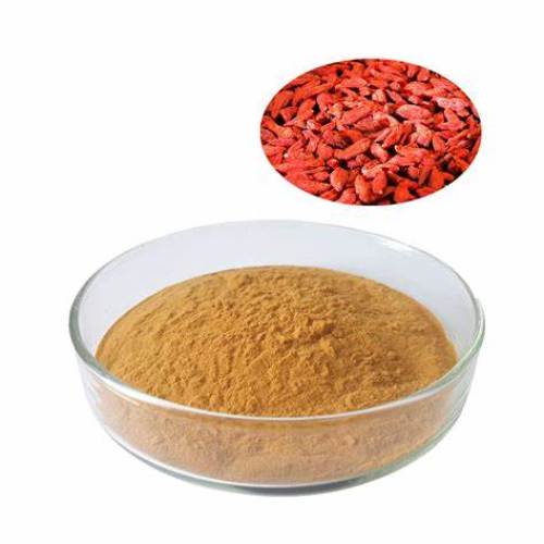 Goji Berry Wolfberry Extract Powder