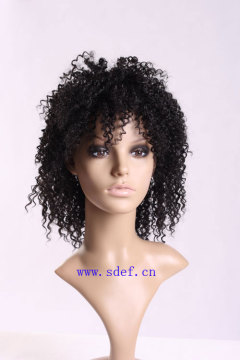 Machine Made Synthetic Hair Wigs (PAULA)