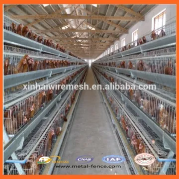 Chicken Breeding Cage/Uganda Poultry Farm Automatic Chicken Layer Cage/Chicken Wire Cage Mesh