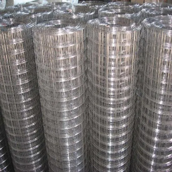 High quality Bird Cage Welded Wire Mesh Roll