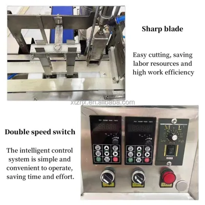 Small Electric Wonton Maker Folding Machine for Ravioli and Gyoza Industries