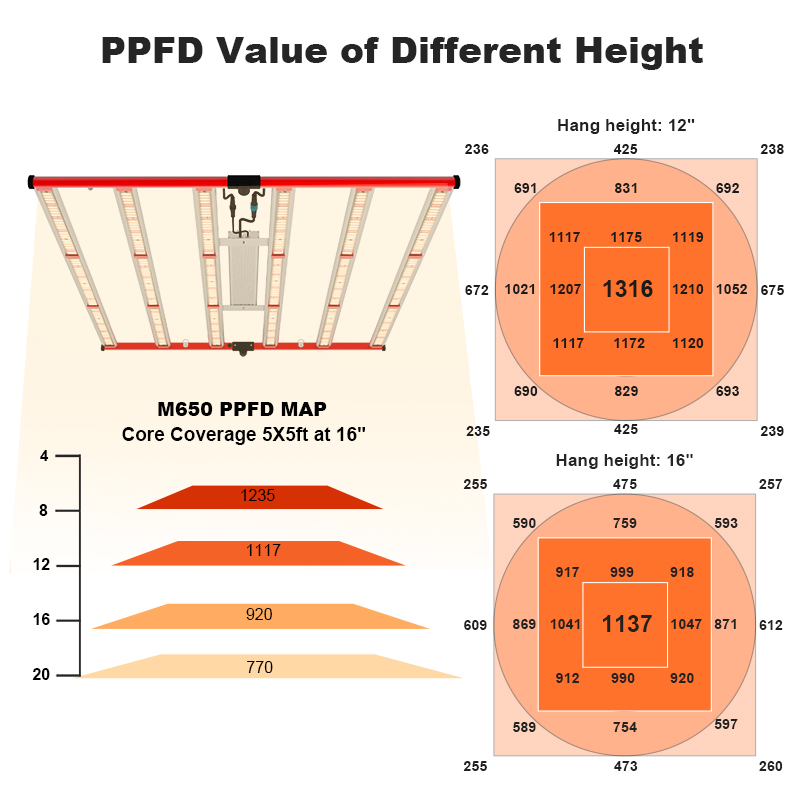 650W LED Grow Light For Indoor Plant Growing