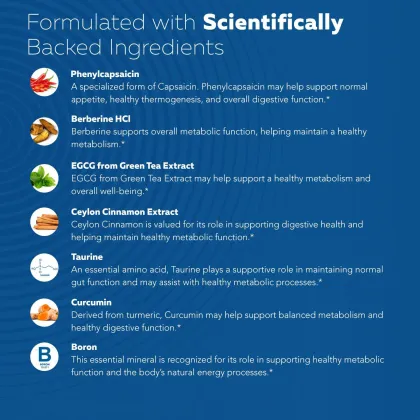 Metabolism Support Capsules Support Balanced Appetite