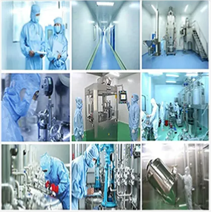 AMULYN Supply Marigold Flower Extract marigold extract