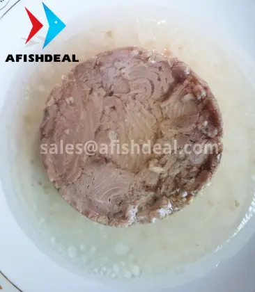 CANNED TUNA - CANNNED FISH - CANNED SEAFOOD