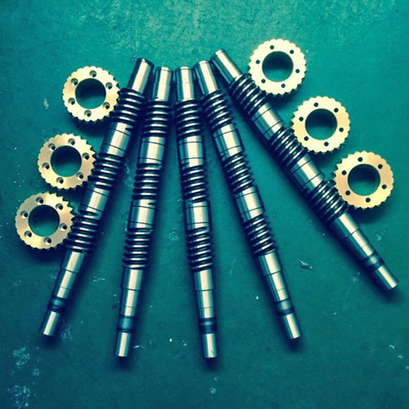 Customized Machinery Accessories Worm Gear and