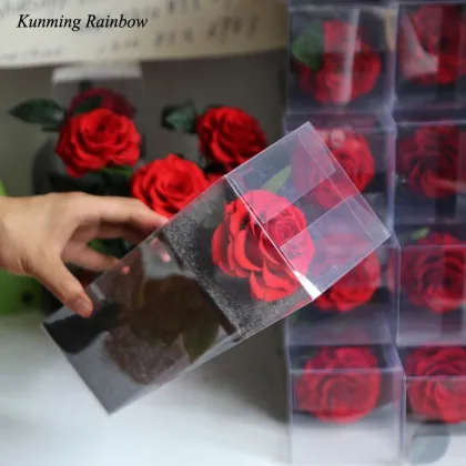 The Real True Long Preserved Rose with Stem - Preserved Roses in Glass