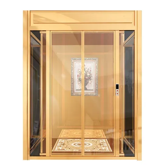 Economic Control Traction Cargo Elevator