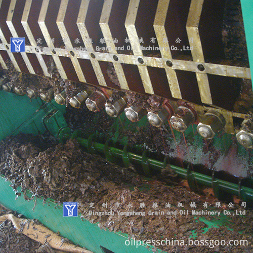 cotton seeds oil pressing machine