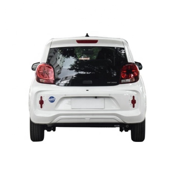 Low Price EV with High Speed 100Km/H and Long Range 125-200Km: G-Ec1 Mini Electric Car for City Use