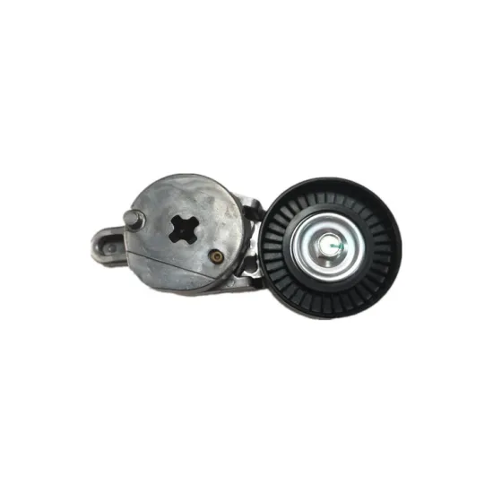 OEM 16620-36013 1662036013 High Quality Automotive Belt Tensioner Pulley for RAV4