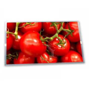 Modulo schermo LCD TFT 19,0 pollici 1280*1024 per display secondario