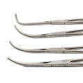 Vats Chirurgie Instruments Joints simples Dissecteur incurvé