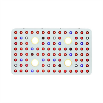 Hochwertige 2000 -W -COB -LED -Leuchten