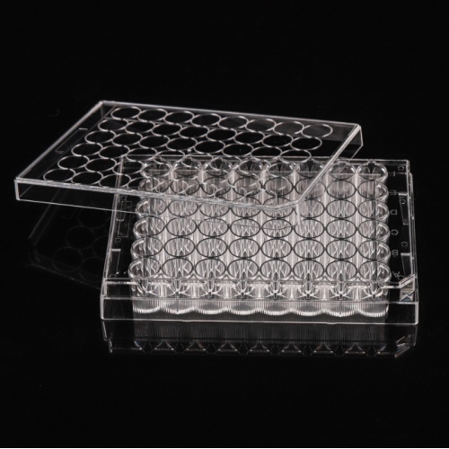 Non-treated 48 well Cell Culture Plates