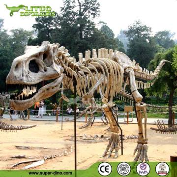 Life Size T-rex Dinosaur Fossil