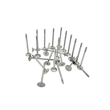 Hot Sale Engine Parts for Audi C6 2.0T 2.4 - Wear Resistance Intake and Exhaust Valves