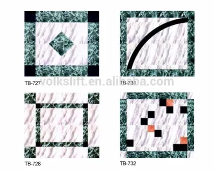 German Technology Professional Home Villa Lift/Elevator