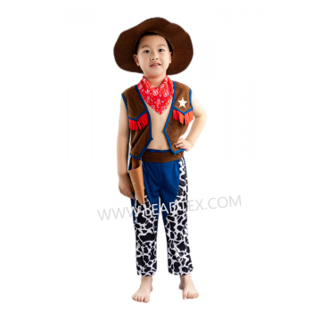 Party costumes cowboy design