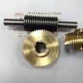 Gear Worm Brass dan Aci untuk Gearbox Mesin