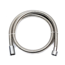 Polished Brass Shower Hose