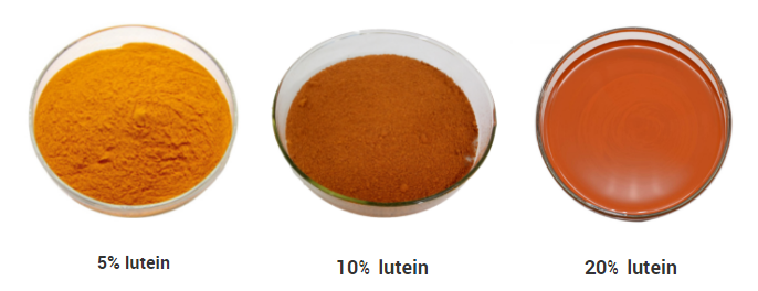 lutein powder