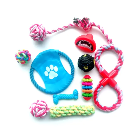 10 Packs Set Tug Assotrment Pet Puppy Teething Chew Rope for Small Medium Large Dogs