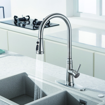 ʻO Satinless Steel Nickel Dual Function Kitchen Faucet