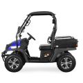 Jeep Style 5KW Golf CART SSV mit EEC