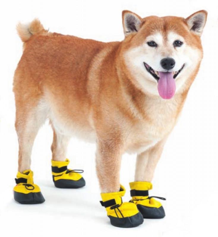fashion-pet-arctic-winter-proof-dog-boots-yellow fashion-pet-arctic-winter-proof-dog-boots-yellow