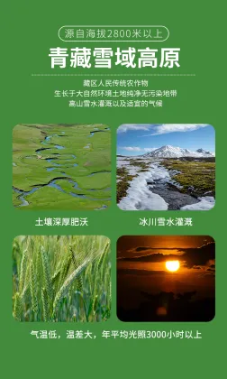 Qinghai Highland Barley Flakes Highland Barley No Extra Additives Nutrient-Rich Highland Barley Flakes No Extras Added