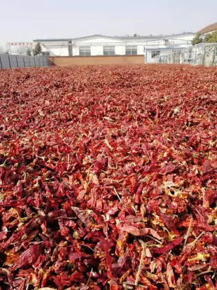 300 SHU Traditional Paprika Pods Chop