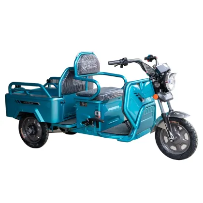 Cargo Bike Tricycle: 3 Wheel Electric Folding Electric Tricycle