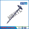 Galvanized Umbrella Roofing Nail With Large Head