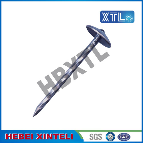 Galvanized Umbrella Roofing Nail With Large Head