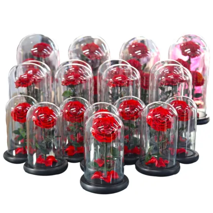 Factory Direct: 2024 Hot Selling Eternal Rose Preserved Flower in Glass Dome