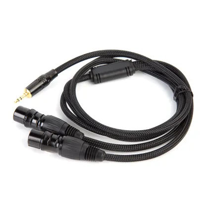 Cable Matters 3.5mm to 2 XLR Breakout Cable