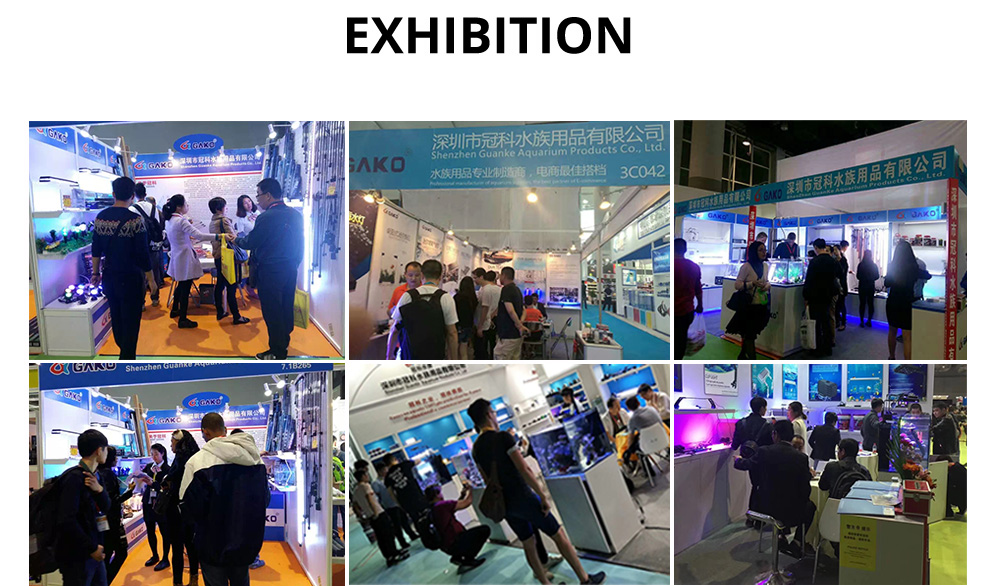 Aquarium Led Light Exhibition