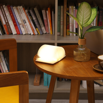 Creative Book Shaped Atmosphere Light with 2H Charging