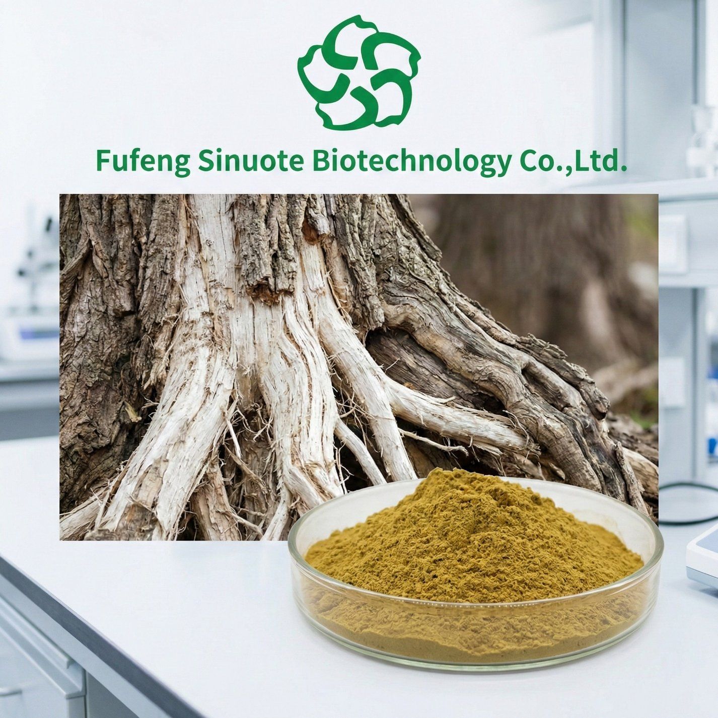 High-Quality-Morus-Alba-Extract-for-Holistic-
