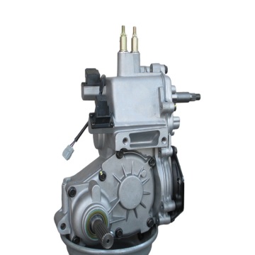 Complete Engine Assembly for Bu Yang Fei Shen 300cc, Version 2.1.01.0003