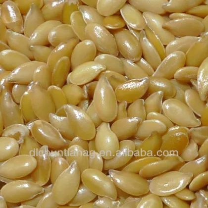 golden flax seed