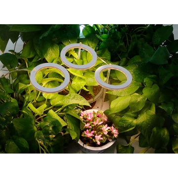 2000W LED Grow Light for Hydroponic Indoor Plants - Full Spectrum Wavelength Double Switch