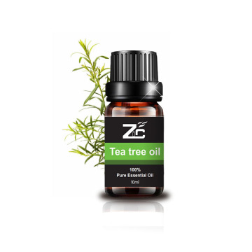 Óleo de tea árvore australiano Óleo essencial para cabelos e saúde