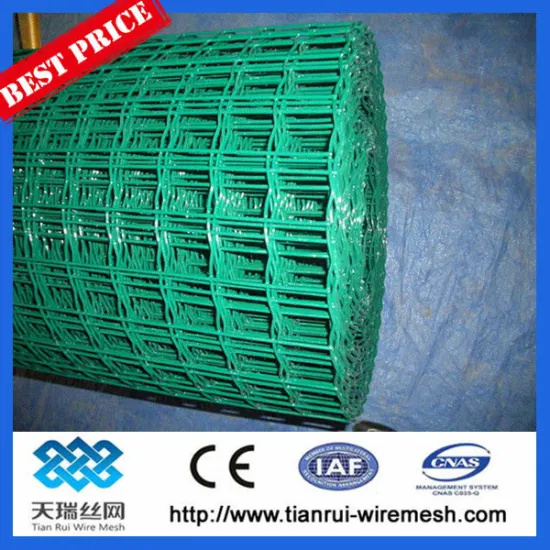 pvc coated welded wire mesh/2X2 galvanized welded wire mesh